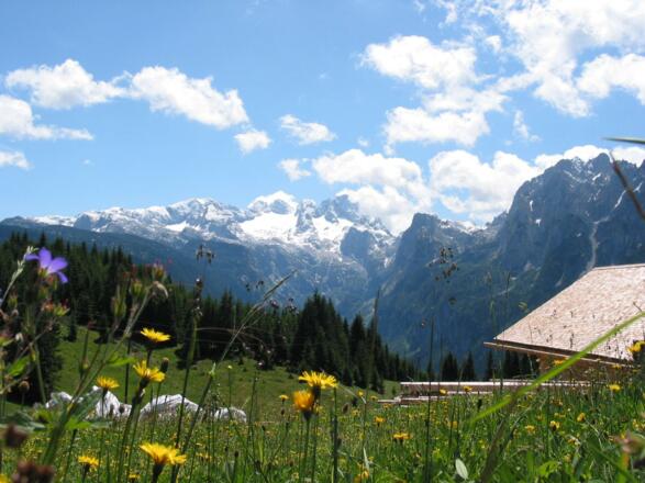 Zwieselalm mit Dachstein