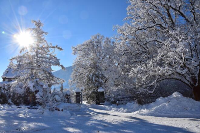 Dorflinde und Schloss im Sonnenglanz