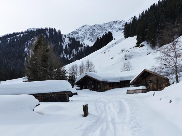 Nach dem Herrgottwinkel folgt man dem Güterweg bis man die Farmanger Niederalm erreicht.