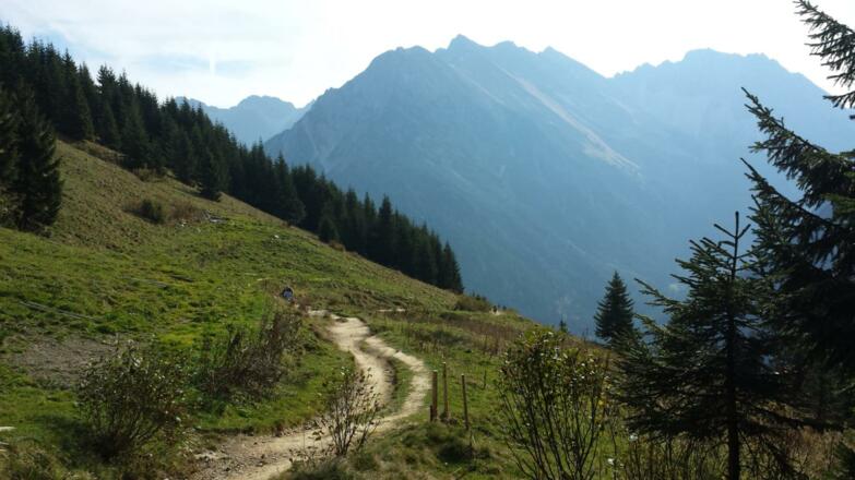 Landschaft