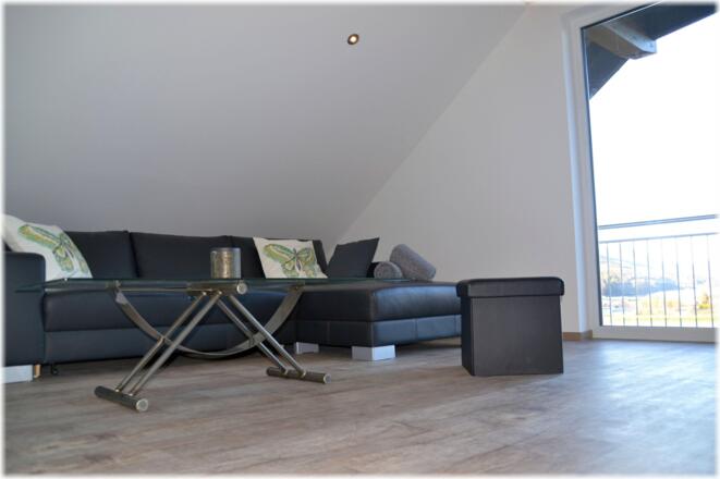 Wohnraum Dachterrassen-FeWo