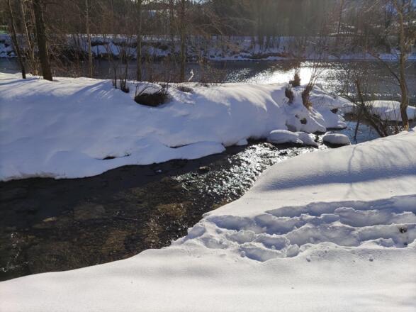winterlicher Spaziergang an der Iler