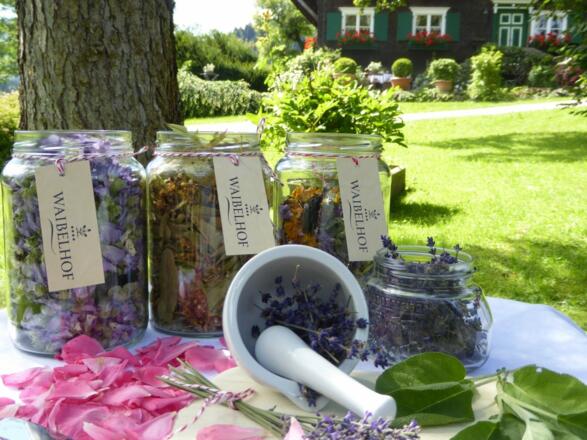 Waibelhof - Tee unser Kräutertee - ganz frisch!