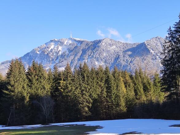 Grüntenblick beim Spaziergang ums Dorf