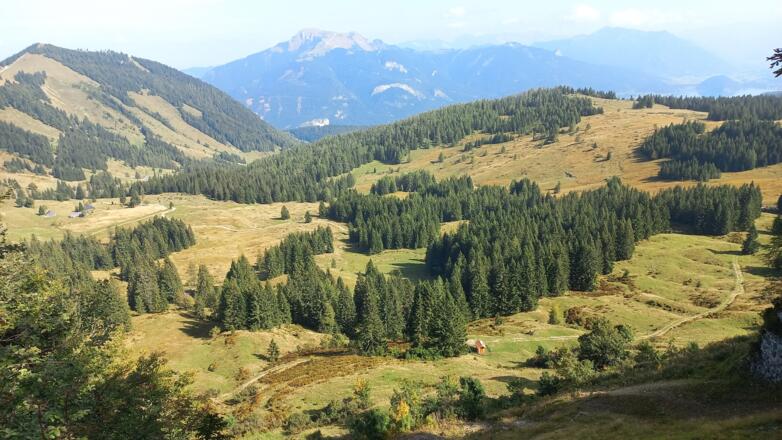 Blick vom Illinger Berg zum Zwölferhorn (links)