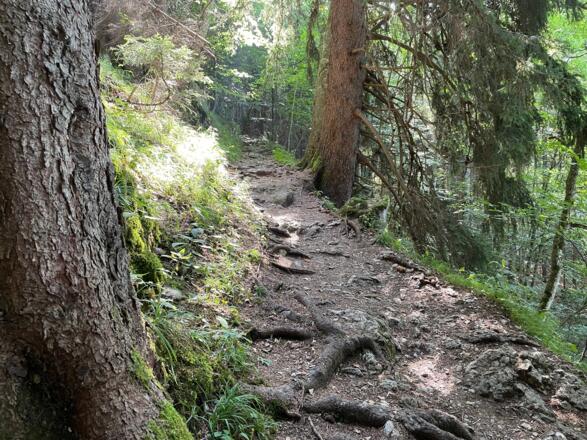 Steig zur Staudacher Alm