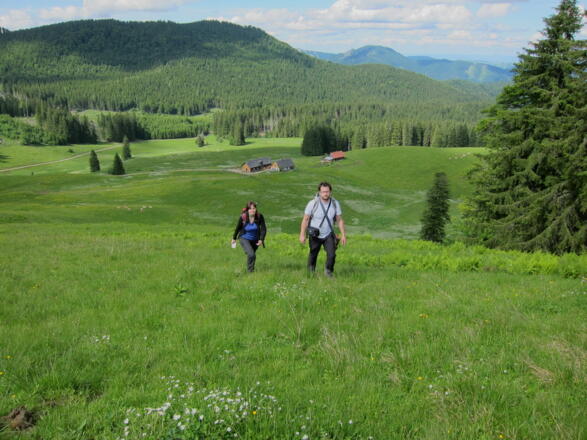Almen genießen im Nationalpark Kalkalpen, Ebenforstalm