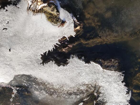 Eiskristalle an der Iller