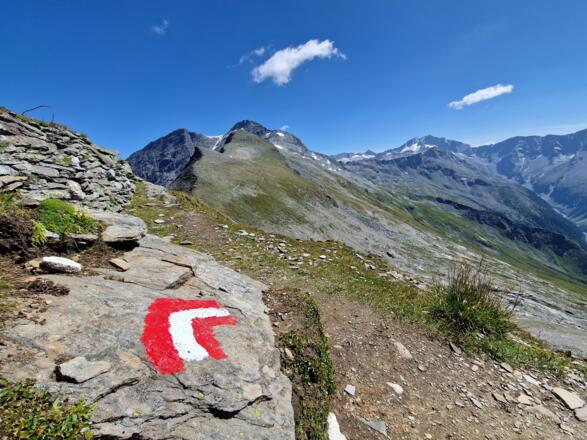 Ab der Bergstation geht es über einen markierten Steig ca. 300 Höhenmeter bergauf.