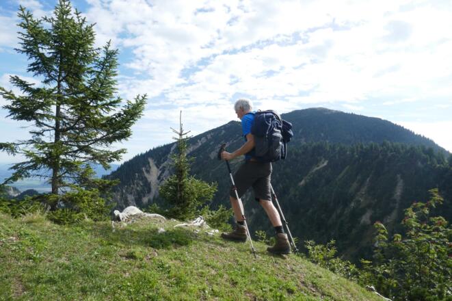 Schlussanstieg auf dem Gipfelkamm zum Rauheck; im Hintergrund der Heimgarten