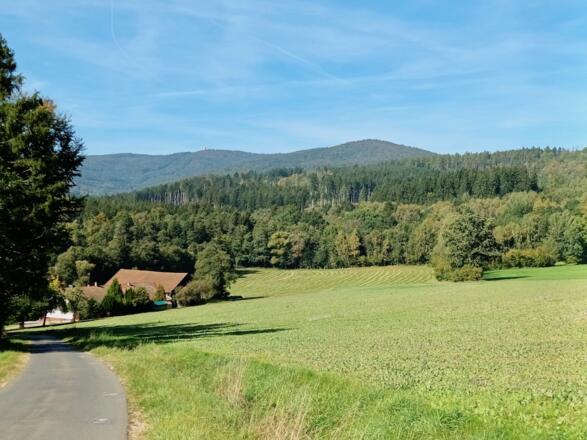 Blick zum Cerchov (mit Turm in Bildmitte)