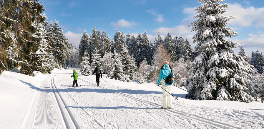 Winter im Thüringer Wald