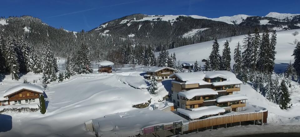 Aussicht auf das Naturschutzgebiet Wasenmoos 6