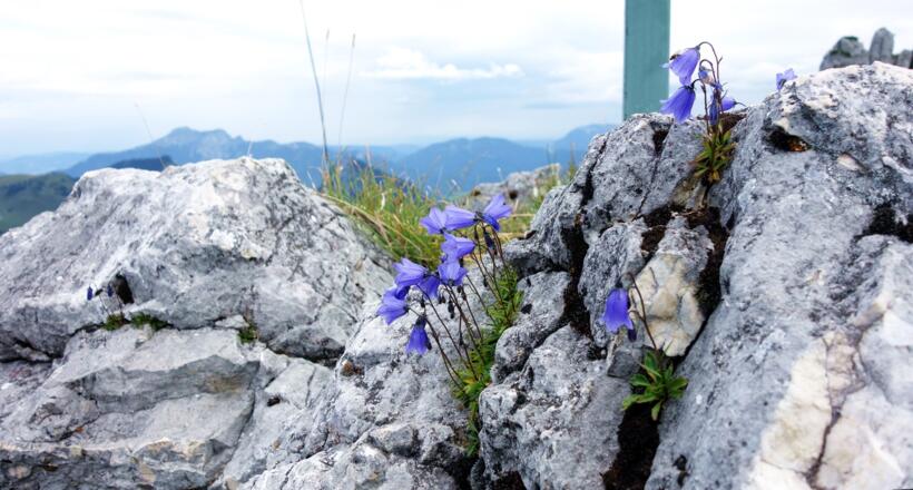 Wieder am Kleinen Scharfen