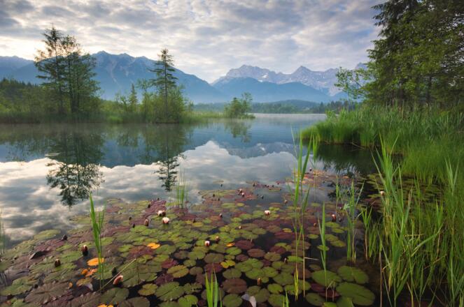 Barmsee