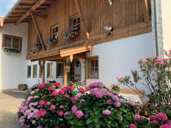 Herzlich Willkommen auf dem Kainzenhof