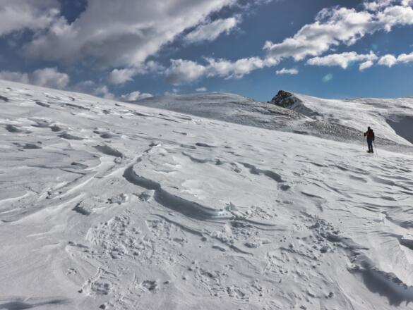 Am Weg zum Königsstuhl