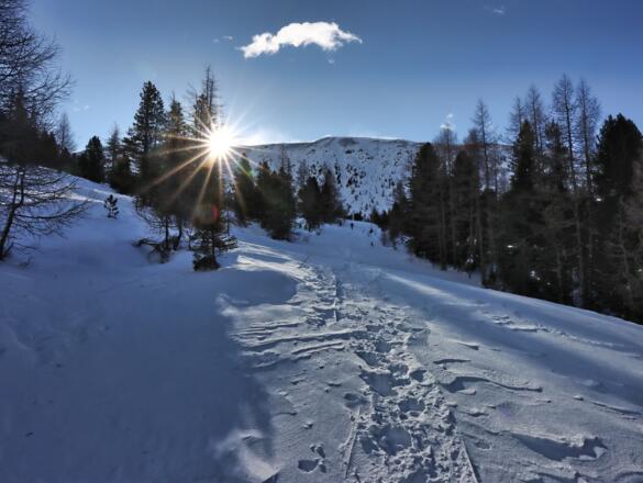 Sonnenaufgang bei der Saureggalm