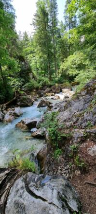 Ausflugsziel Zauberwald