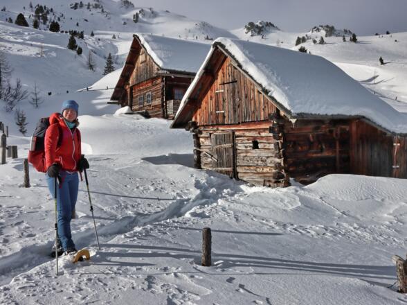 Winkleralm