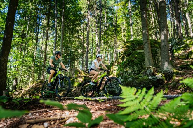 MountainbikenWaldHochficht01_FerienregionBoehmerwaldJustinBerlingerFotografie.jpg