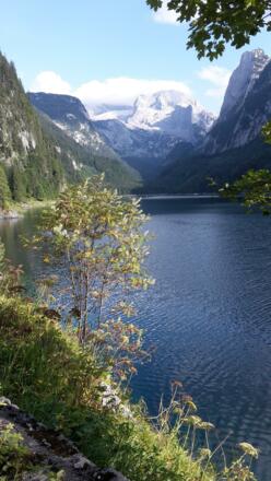Gosausee