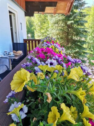 Frühstück am Balkon