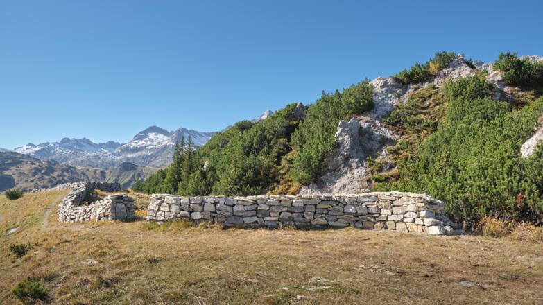 Chluppa am Grünen Ring