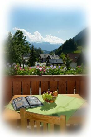 Aussicht - Apartment "GAMSFELD"