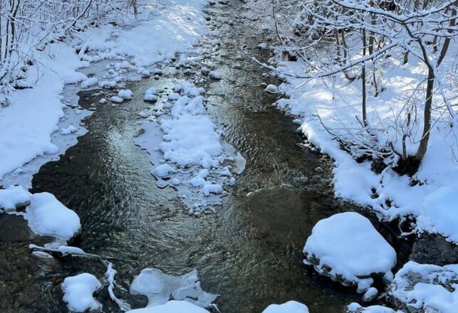 Landhaus Lignum - sommerliche Abendstimmung