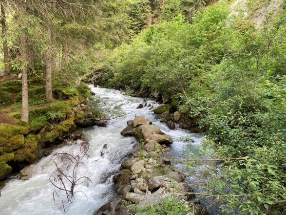 Wasser