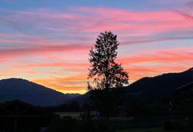 Landhaus Lignum - Blick in die Berge