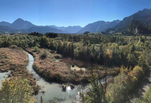 Landhaus Lignum - Eigener Eingang und Garage