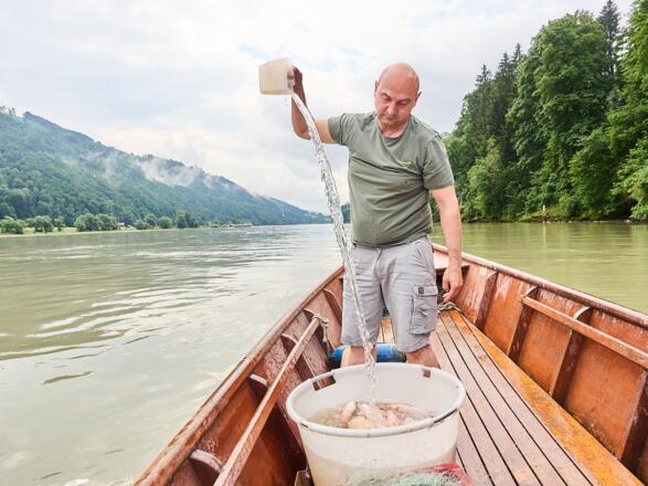 Fischen in Neustift