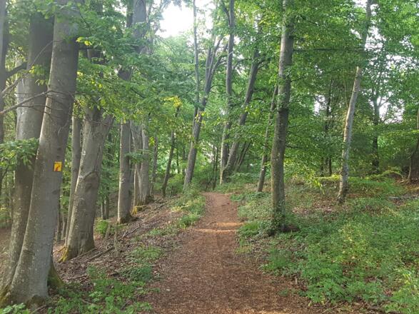 Wanderweg