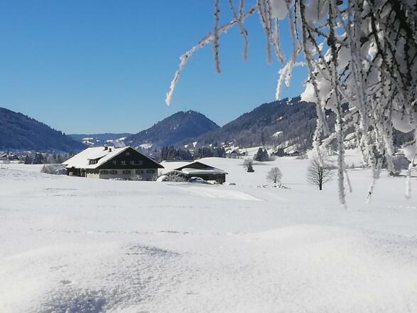 Hofbild Winter