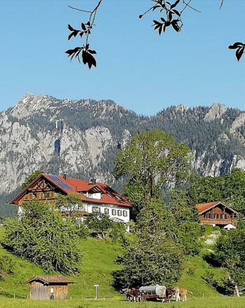 Haus vom Forggenseeweg aus