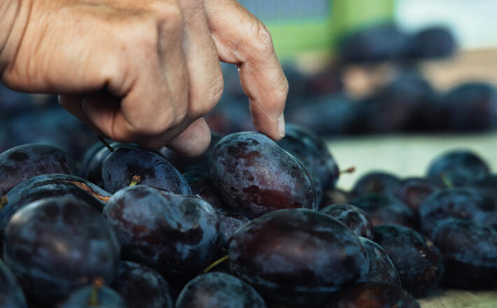 Das Gemüse und Obststandl bietet frisches Obst und Gemüse
