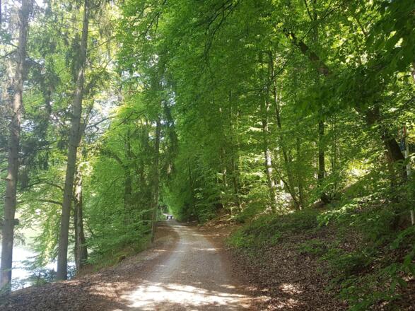 Radweg