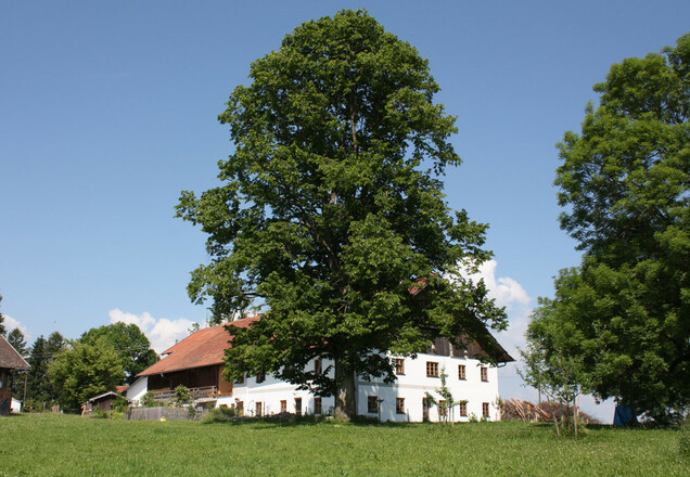 Ferien "Beim Baur" - Ferienwohnung Bauerngarten