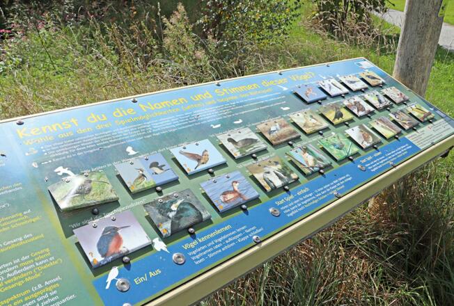 Infotafel Vögel Naturerlebnisweg Vilsaue