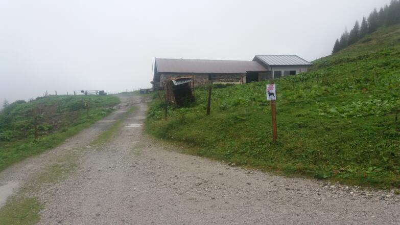 Jausemöglichkeit am Fahrweg zur Grießenbodenalm und Lärchfilzhochalm in der Wildalm.