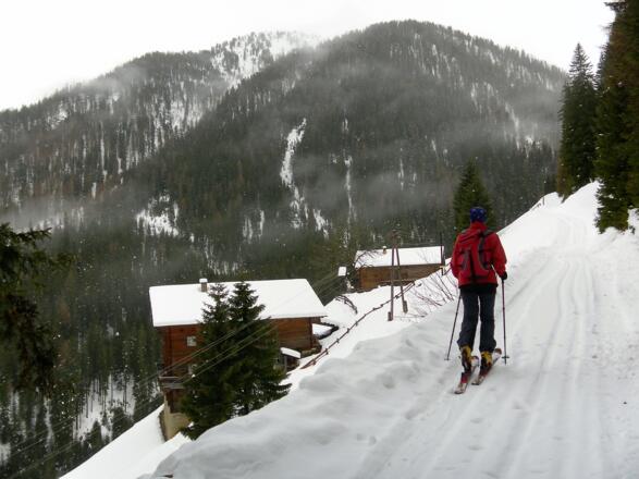 Oberhoferalm