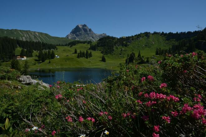 Körbersee Sommer 2015_3 (c)Warth-Schröcken Tourism