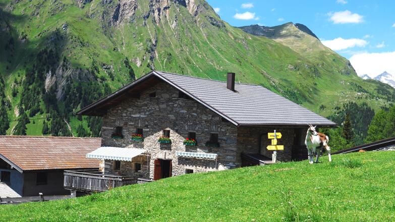 Hoanzeralm