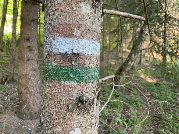 Markierung am Chakren-Weg.