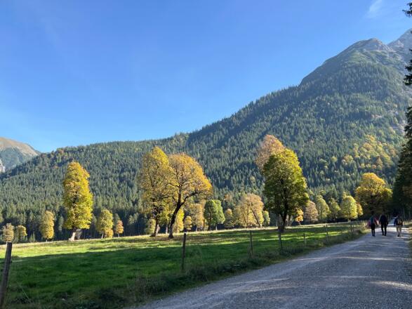 Start P9 Forstweg Eng - Plumsjochhütte