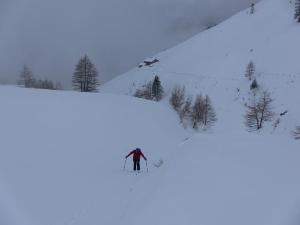 oberhalb der Kessleralm