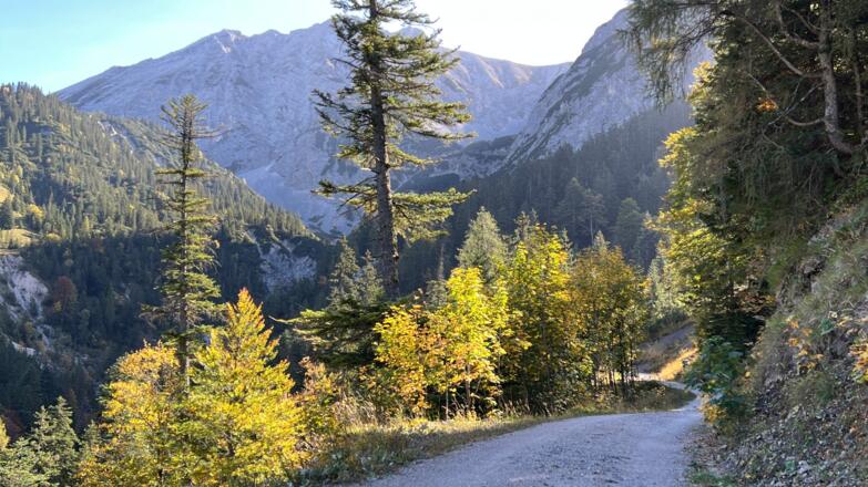 Forstweg Eng - Plumsjochhütte