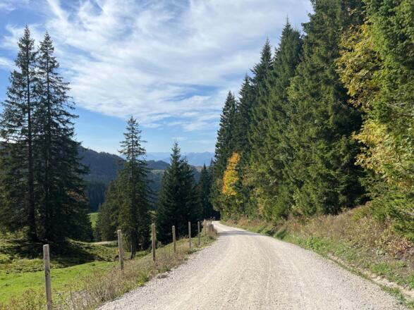 Forstweg Sachrang - Priener Hütte
